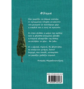 Καριέρα στο Ε.Σ.Υ. (Κοσμάς Μεγαλοκονόμος) 	